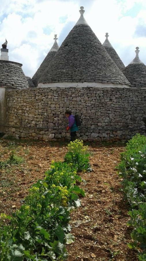 Trulli Di Nonna Palma Villa Locorotondo Exterior photo